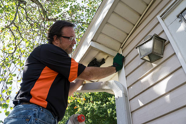 Best Shed Removal  in Havana, FL